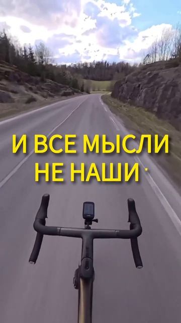 В нашем теле есть клетки...из подкаста #подкаст #рекоме? смотреть онлайн
