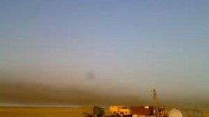 туча саранчи Калмыкия.