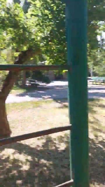 есть Люди с большой буквы. Почет, уважение, дай Бог здо? смотреть онлайн