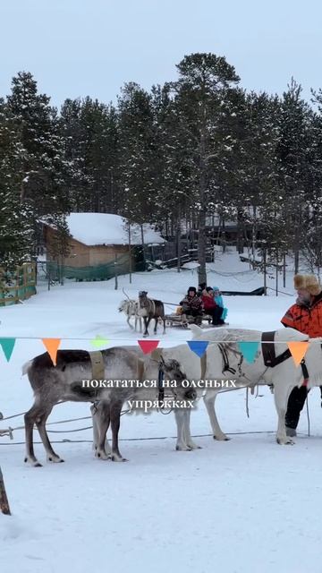 СААМСКАЯ ДЕРЕВНЯ #shortsvideo #путешествия #туризм #мурманс? смотреть онлайн