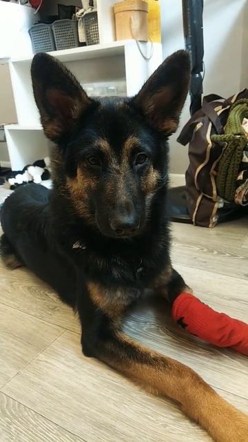 У нас теперь тоже есть тг-канал, если кому интересно. #а смотреть онлайн