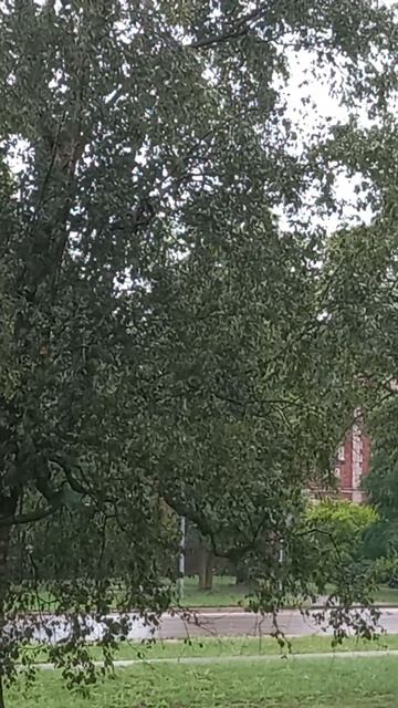 Как быстро убедить человека, что БОГ ЕСТЬ. Эксперимент смотреть онлайн