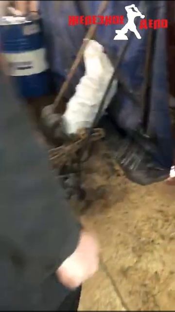 Есть ли дым от котла Попова компании Железное Дело смотреть онлайн