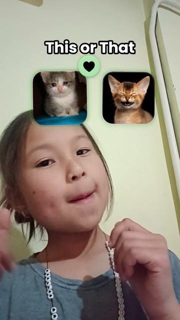 поставь лайк если любишь кошек смотреть онлайн