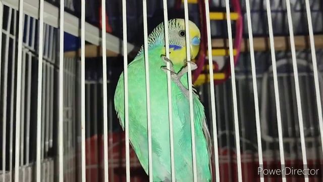 ТУРЦИЯ! САКАРЬЯ🇹🇷ЗАКАПЫВАЮСЬ В ПЕСОК 😂! /ЖИЗНЬ НА М? смотреть онлайн