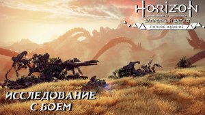 ИССЛЕДОВАНИЕ С БОЕМ ➤ Horizon Forbidden West #9
