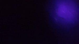 Поиск янтаря с ультрафиолетом в необычных местах.