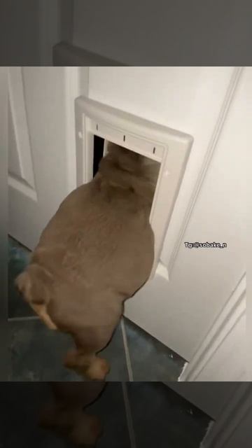 Это потому что кто то очень много ест смотреть онлайн