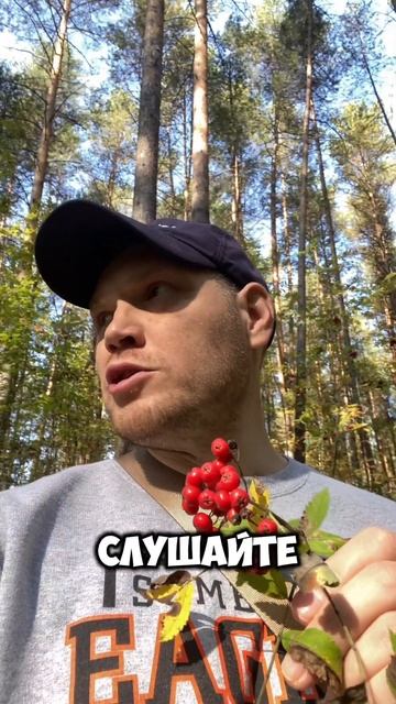 Обычный боярышник trending юмор shortsyoutube прикол приколы