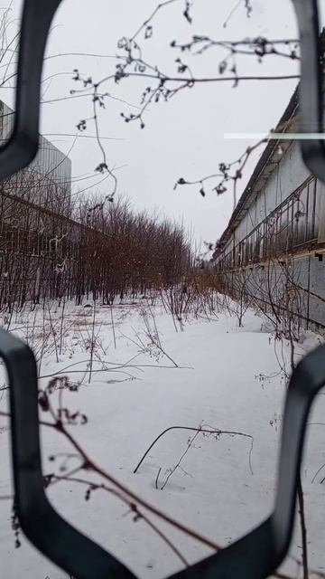 Тольятти, сегодня! снег. смотреть онлайн