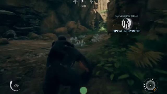 Ancestors: The Humankind Odyssey Прохождение смотреть онлайн