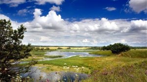 РОДИНА НАША👍(С.Гришанов)👍👍👍