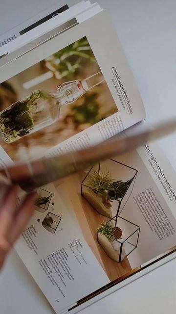 Книга A Beginner`s Guide to Terrariums: Simple Glass Container Gardens смотреть онлайн