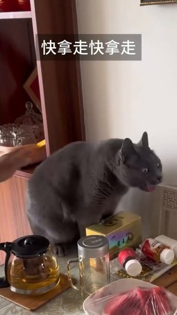 Говорю мужу, что буду ночевать с подружками #блогер #но смотреть онлайн