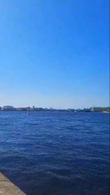 Есть место в Санкт Петербурге смотреть онлайн