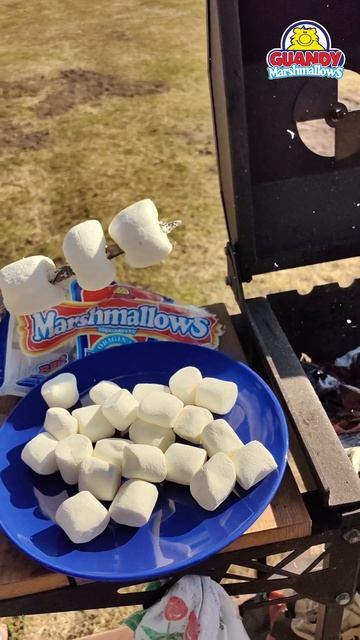 Больше рецептов👉marshmallows.ru Как жарить маршмеллоу зефи? смотреть онлайн