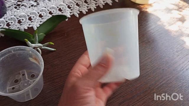 Знову знімаю і відправляю в посадку діток орхідей ПУЛ? смотреть онлайн