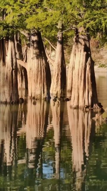 Если есть на свете рай то это Краснодарский край! смотреть онлайн