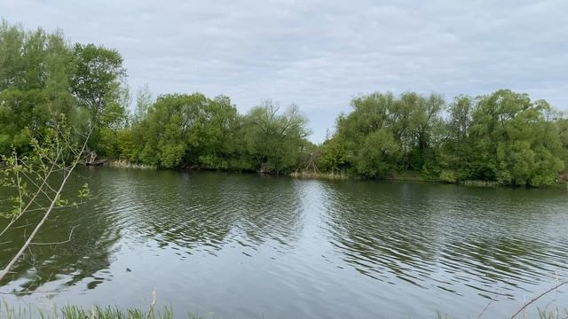 Природа смотреть онлайн