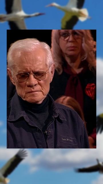 Братья Поздняковы в эфире ТВЦ в честь 9 мая смотреть онлайн