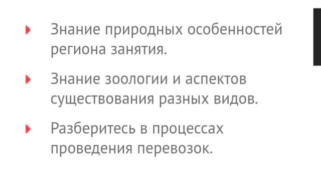 Професия:переворачиватель пингвинов :