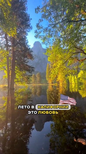 Поехали в тур по паркам Калифорнии с нами ❤️ #калифор? смотреть онлайн