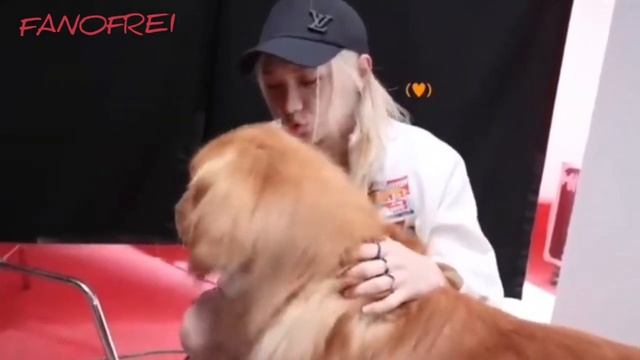 Смешная озвучка Stray kids или Как Stray kids ели печеньки🤣 смотреть онлайн