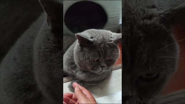 подумал кушать принесла а она говорит иди сам а я уста?