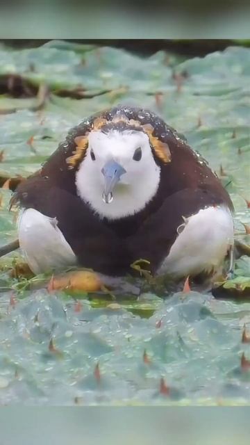 Быть Мамой - значит испытывать Бурю эмоций каждый день смотреть онлайн