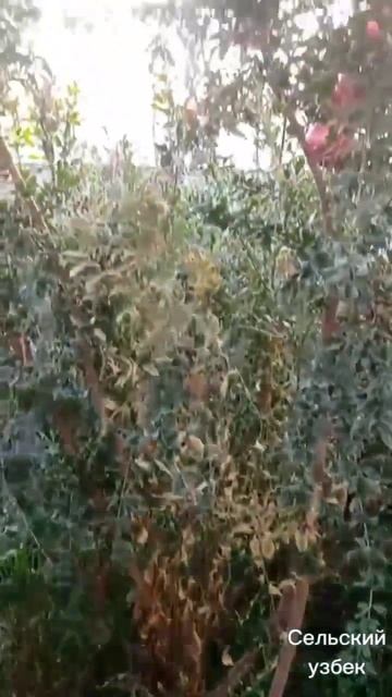 Огромные гранаты смотреть онлайн