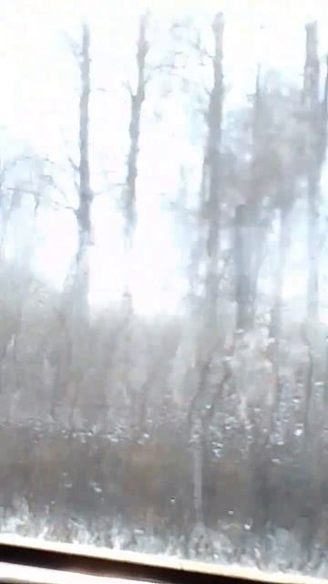 едим едим соседние село в музей кортин смотреть онлайн