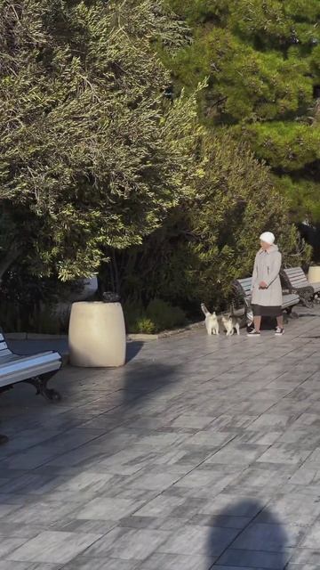 О Гурзуфе и жизни #крым #гурзуф #черноеморе #краснодарс смотреть онлайн