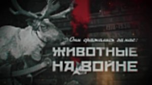 Они сражались за нас: животные на войне