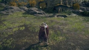 как убрать фризы в elden ring