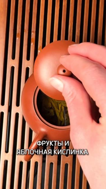 ДАОДЭ I Раз, два, три — Шен Пуэр оживи! смотреть онлайн