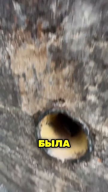 Это фальшивое вентиляционное отверстие ввело солдат ?