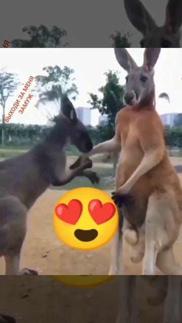 Ты выйдешь за меня замуж ?)