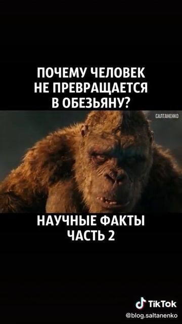 Почему человек не превращается в обезьяну? 🤔 #часть2 #салтаненко #церковь #украина #библия #эволюци смотреть онлайн