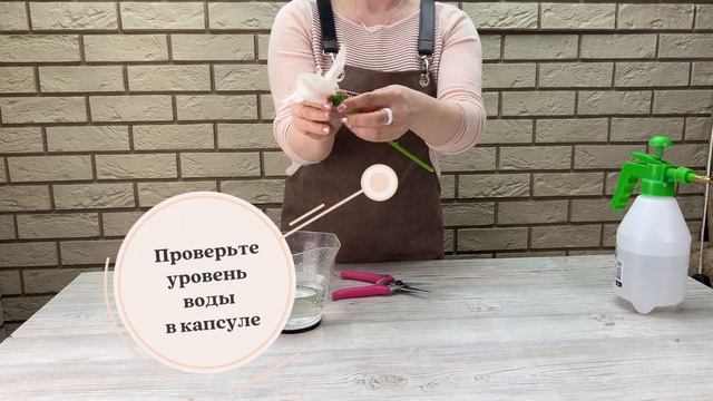 Уход за цветами смотреть онлайн