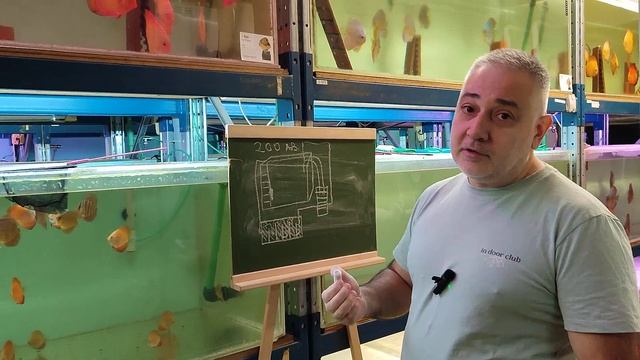 Аквариум 200 литров для дискусов , обсуждаем все момены смотреть онлайн