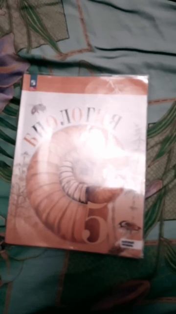 Ну да мне ничего снимать это вроде щас популярно или н? смотреть онлайн