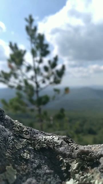 "Призрачно все в этом мире бушующем" - Леонид Дербенев смотреть онлайн