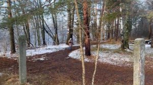 Последние следы жизни: заброшенный лагерь в Кировской