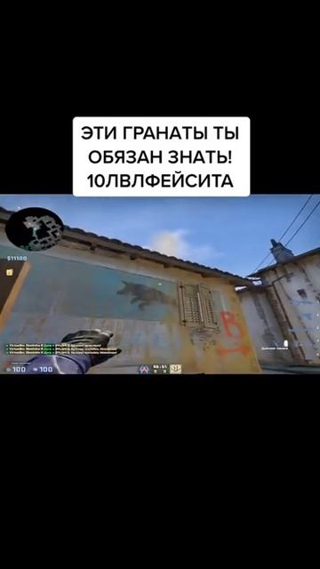 Самые полезные гранаты #shorts