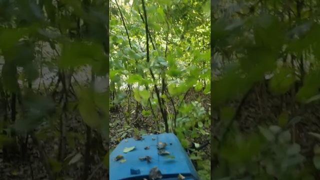 исеки ту 240 делаем дорогу в лесу смотреть онлайн