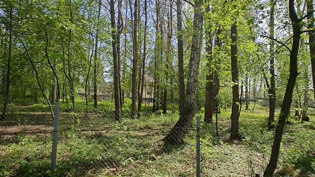 1000055750.mp4 смотреть онлайн