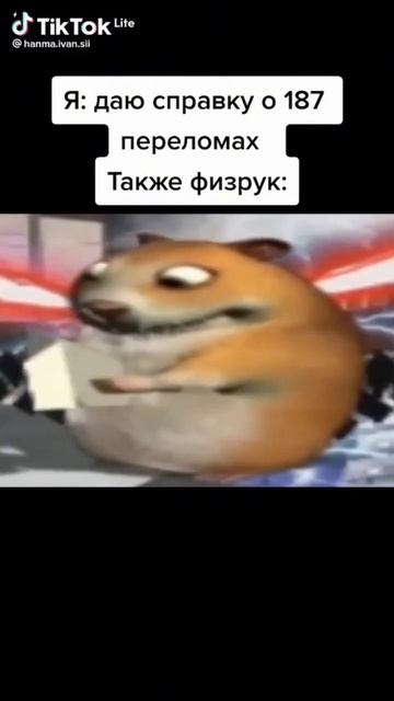 #мем #пупсик #копибара #хомяк смотреть онлайн