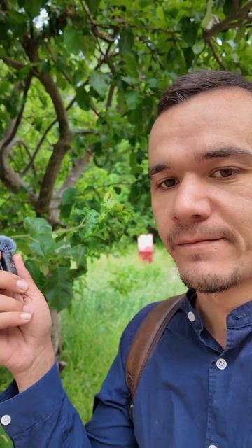 У этого видео есть шансы попасть в рекомендации?🤔 #эм?