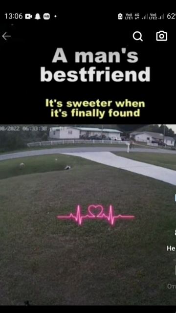 Не зря говорят собака друг человека!❤❤❤❤😍 не пешит? смотреть онлайн