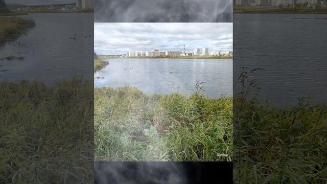 Шестой день осени. Високосный год. Город N смотреть онлайн